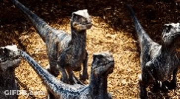 A Group Of Dinosaurs Standing Next To Each Other On The Ground GIF