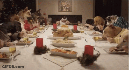 A Group Of Dogs And Cats Are Sitting At A Long Table Eating GIF