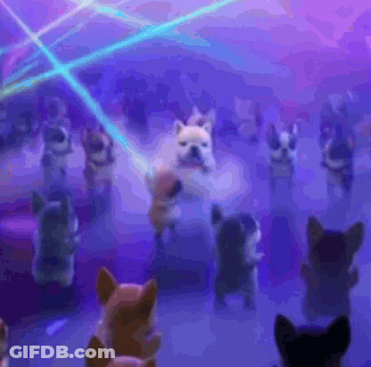 A Group Of Dogs Are Dancing In A Room With Purple Lights GIF