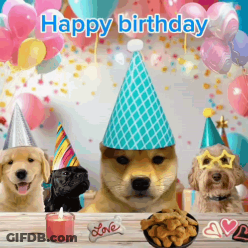A Group Of Dogs Wearing Party Hats With The Words Happy Birthday Written Above Them GIF