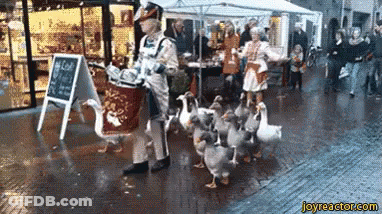 A Group Of Ducks Walking Down A Street With A Sign That Says Joyreactor.com On It GIF