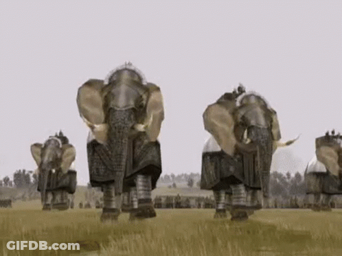 A Group Of Elephants Are Walking Through A Field . GIF