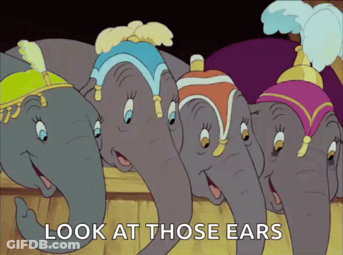 A Group Of Elephants Standing Next To Each Other With The Words Look At Those Ears Below Them GIF