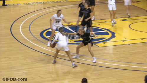 A Group Of Female Basketball Players Are Playing A Game On A Court That Has A Logo That Says Design Sustain On It GIF