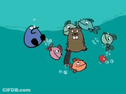 A Group Of Fish Are Swimming Around A Beaver GIF