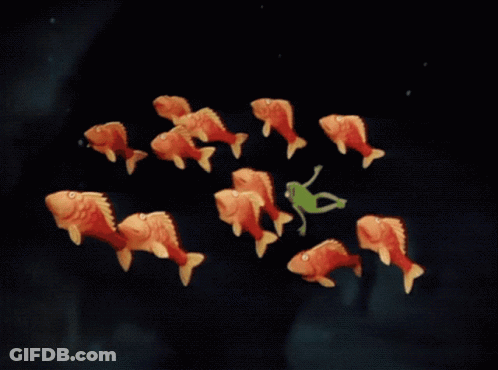 A Group Of Fish Are Swimming In A Dark Water GIF