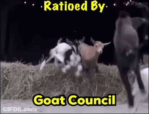 A Group Of Goats Standing Next To Each Other With The Words " Ratioed By Goat Council " On The Bottom GIF