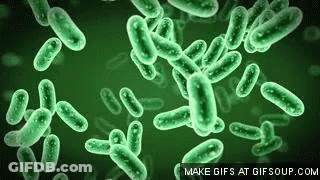 A Group Of Green Bacteria On A Green Background . GIF