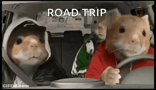 A Group Of Hamsters Are Sitting In A Car With The Words Road Trip Written On The Screen . GIF