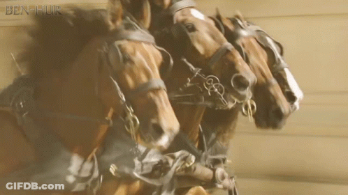 A Group Of Horses Are Being Pulled By A Man And The Word Ben-Huir Is On The Bottom Right GIF