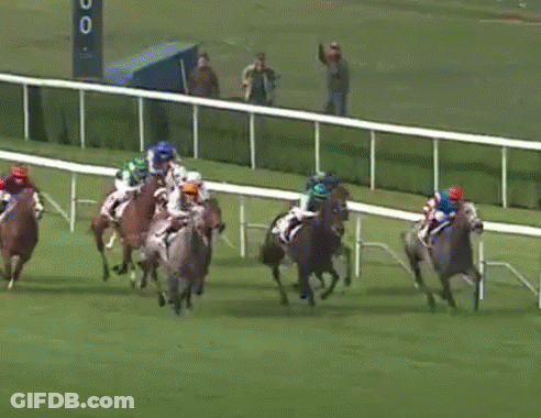 A Group Of Horses Are Racing Down A Track GIF