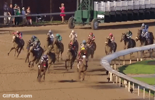 A Group Of Horses Are Racing On A Dirt Track And One Of The Horses Is Wearing A Blue Shirt With The Number 11 On It GIF