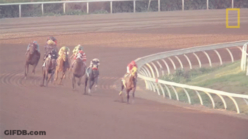 A Group Of Horses Are Racing On A Dirt Track With A National Geographic Logo In The Corner GIF