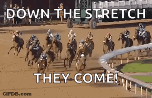 A Group Of Horses Are Racing On A Dirt Track With The Words Down The Stretch They Come GIF