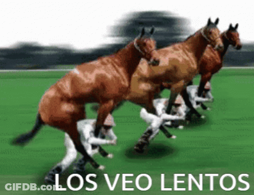 A Group Of Horses Are Racing On A Grassy Field With The Words Los Veo Lentos Written Below Them GIF
