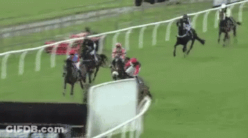 A Group Of Horses Are Racing On A Race Track . GIF