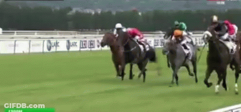 A Group Of Horses Are Racing On A Track With A Banner Behind Them That Says Allianz GIF