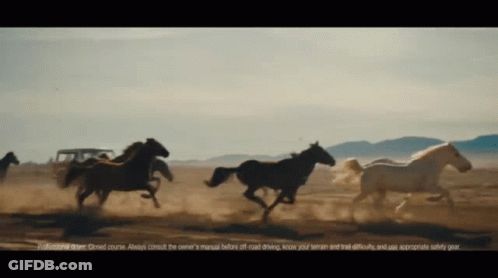A Group Of Horses Are Running In A Field With A Jeep In The Background And A Warning About Off Road Driving GIF