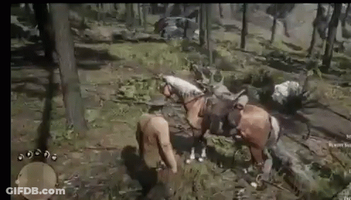 A Group Of Horses Are Standing In The Middle Of A Forest . GIF