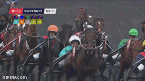 A Group Of Horses Racing In Front Of A Case A Sign GIF