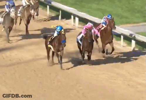 A Group Of Horses Racing On A Dirt Track With Jockeys Wearing Blue And Pink Hats GIF