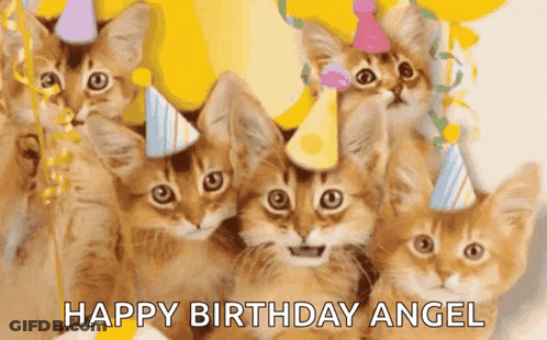 A Group Of Kittens Wearing Party Hats With The Words Happy Birthday Angel Written On The Bottom GIF