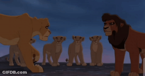 A Group Of Lion Cubs Standing Next To Each Other With One Cub Looking Up At The Sky GIF