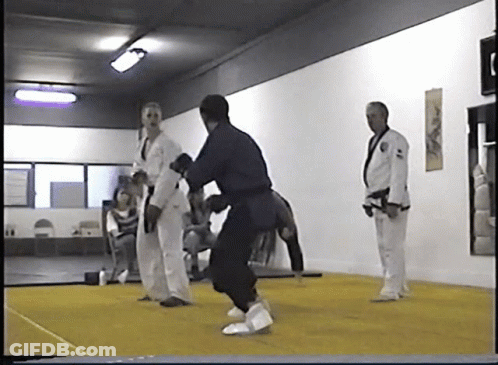 A Group Of Martial Arts Fighters Are Standing On A Mat GIF