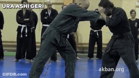 A Group Of Men Are Practicing Martial Arts With Ura Ashi Geri Written On The Bottom Right GIF