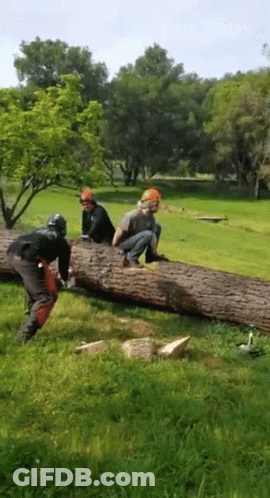 A Group Of Men Are Working On A Large Log In A Field GIF