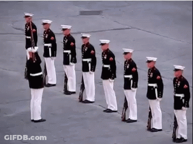 A Group Of Men In Military Uniforms Are Standing In A Row . GIF