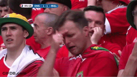 A Group Of Men Sitting In A Stadium Watching A Soccer Game Between Wales And England GIF