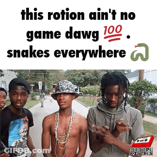A Group Of Men Standing Next To Each Other With The Caption This Rotation Ain 'T No Game Dawg 100 Snakes Everywhere 3 GIF