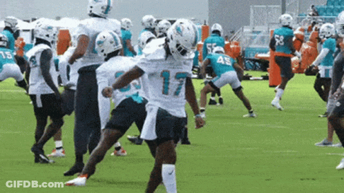 A Group Of Miami Dolphins Football Players Are Practicing On The Field GIF