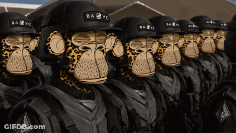 A Group Of Monkeys Wearing Babyc Helmets Stand In A Row GIF
