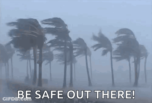 A Group Of Palm Trees Blowing In The Wind With The Words `` Be Safe Out There '' Written In The Foreground . GIF