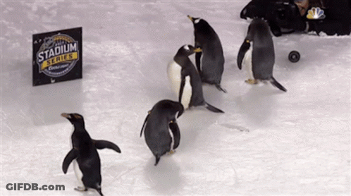A Group Of Penguins Are Standing In Front Of A Stadium Series Sign GIF