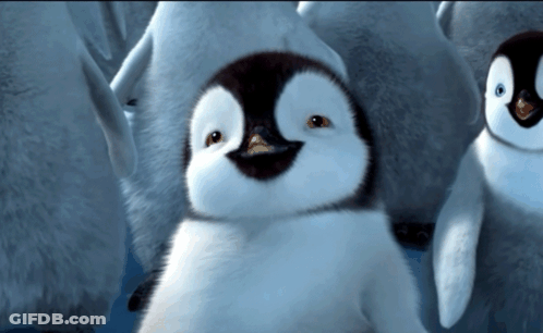 A Group Of Penguins Are Standing In The Water And One Of Them Is Smiling GIF