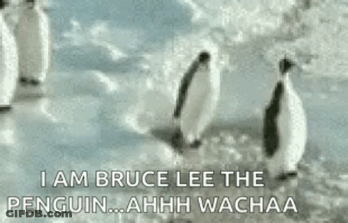 A Group Of Penguins Are Standing On Top Of A Snow Covered Ice Field . GIF