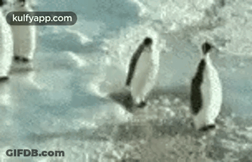A Group Of Penguins Are Walking Across A Snowy Field . GIF