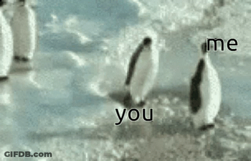A Group Of Penguins Are Walking In The Snow With The Words " Me You " Written In The Foreground GIF