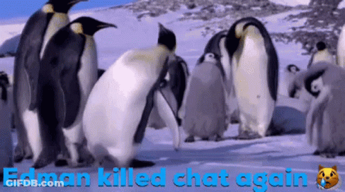 A Group Of Penguins Standing In The Snow With The Words Edman Killed Chat Again On The Bottom GIF