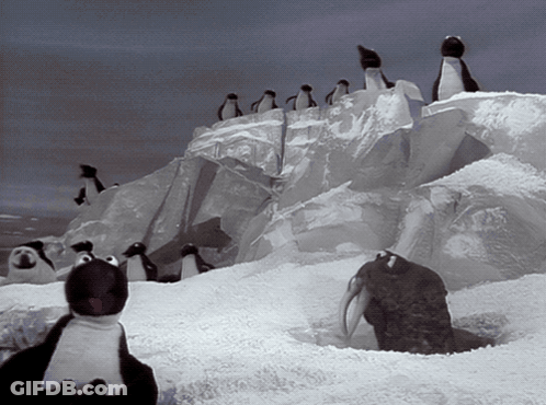 A Group Of Penguins Standing On Top Of A Snow Covered Cliff GIF