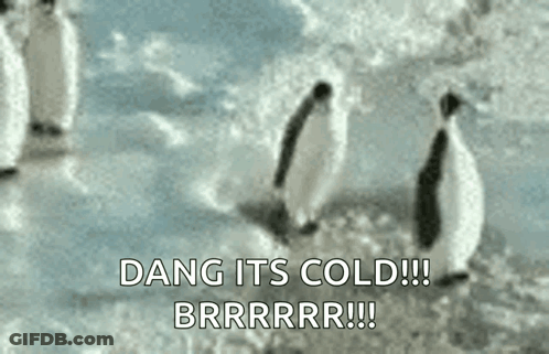A Group Of Penguins Standing On Top Of A Snow Covered Field With The Words `` Dang Its Cold ! '' GIF