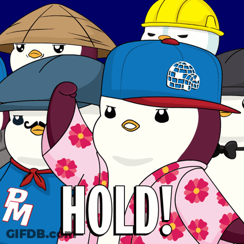 A Group Of Penguins Wearing Hats And A Shirt That Says Rm Hold GIF