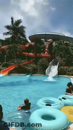 A Group Of People Are Playing In A Water Park With A Water Slide In The Background GIF