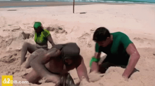 A Group Of People Are Playing In The Sand On A Beach With The Number 12 On The Bottom Right Corner . GIF