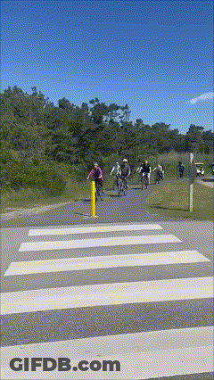 People Riding Bikes Across Zebra Crossing GIF