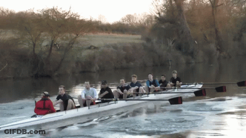 A Group Of People Are Rowing A Boat On A River With Trees In The Background GIF
