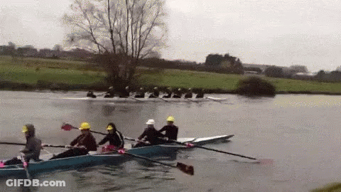 A Group Of People Are Rowing Boats In A Lake . GIF